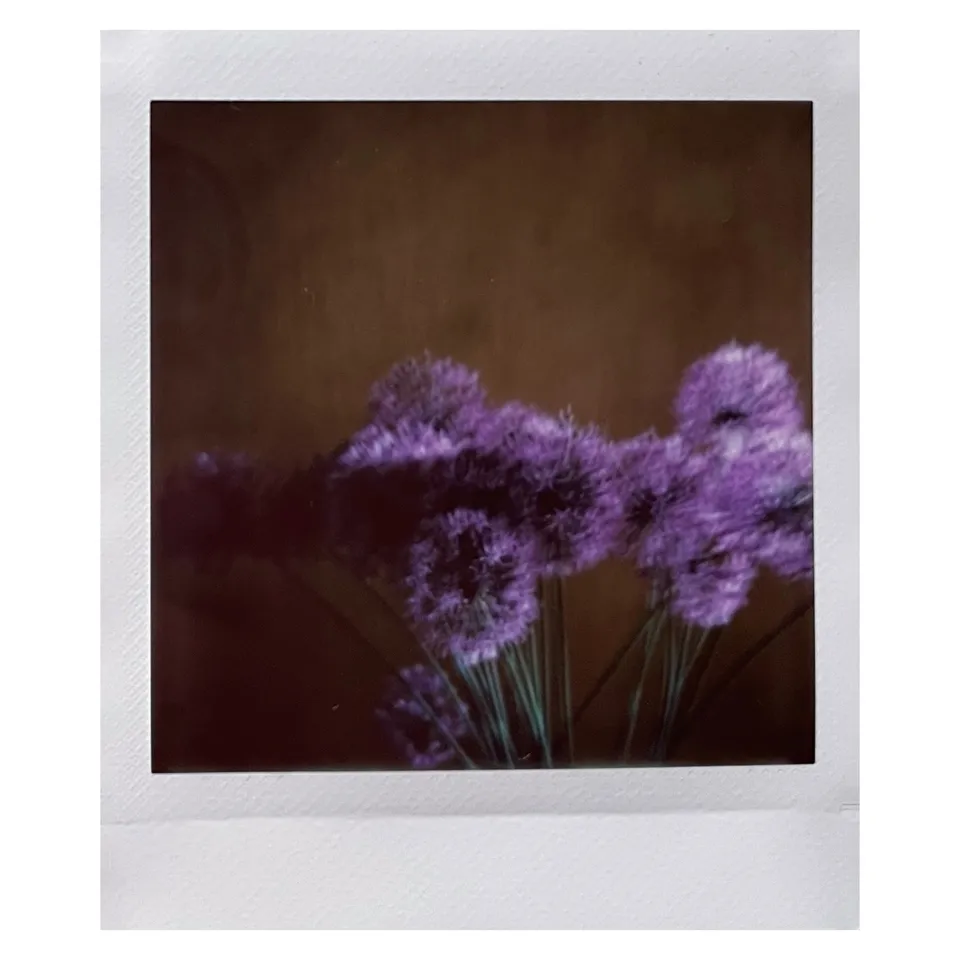 Purple and brown